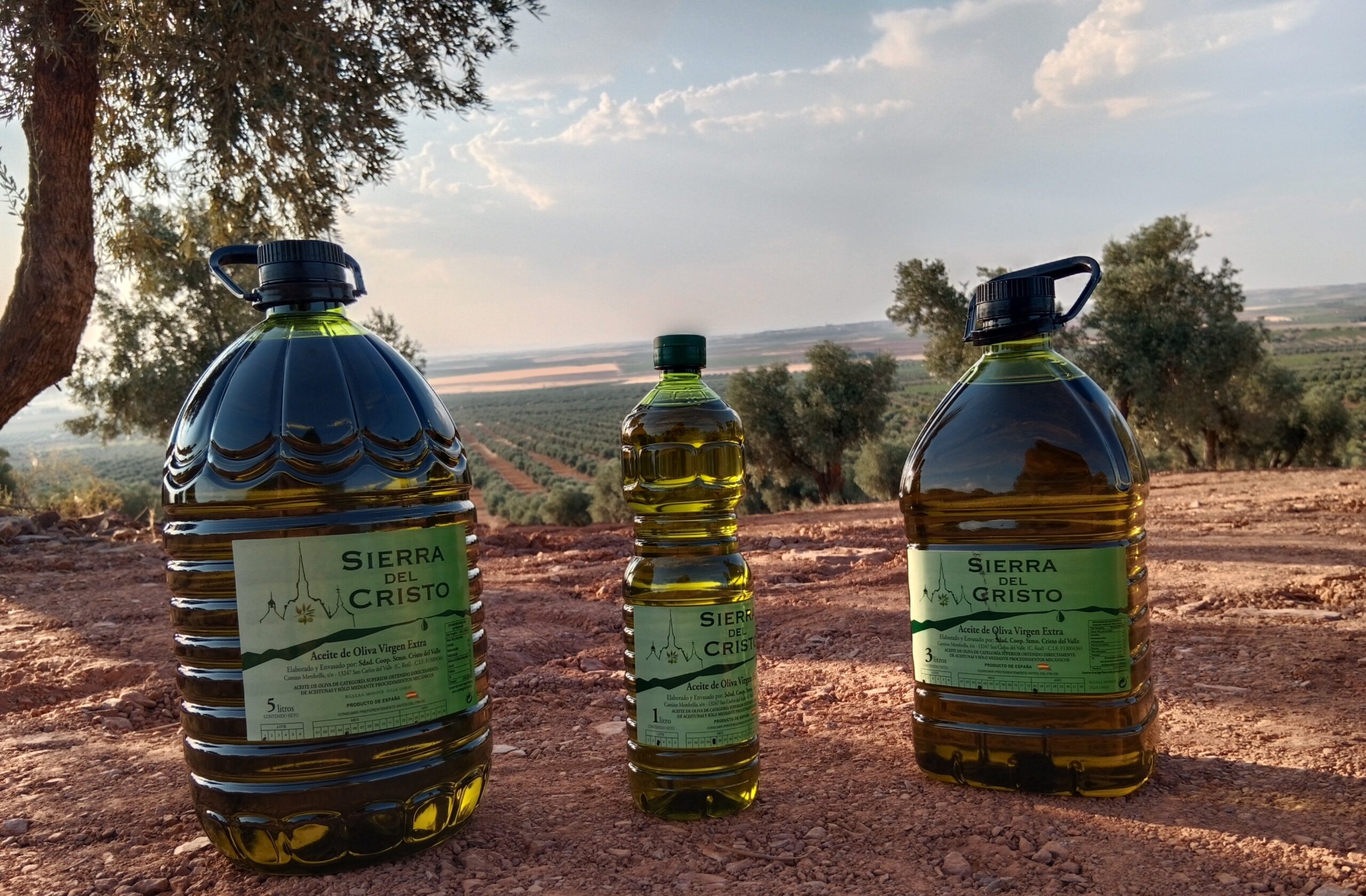 Diferentes tipos de envases para aceite de oliva.